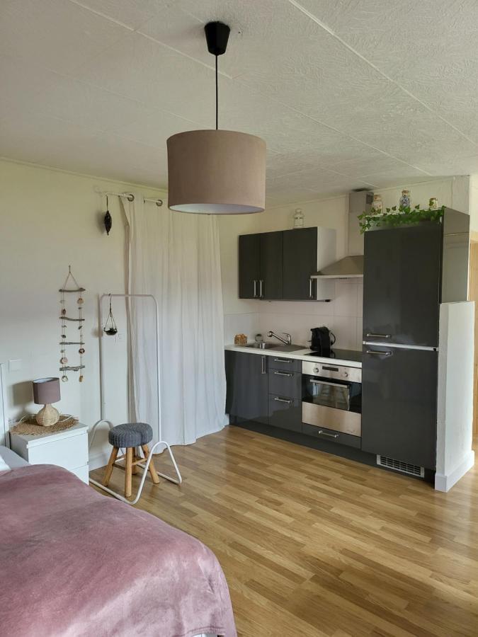 Studio Des Fontanettes Miège Zewnętrze zdjęcie